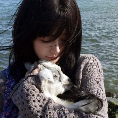 猪头汉堡包